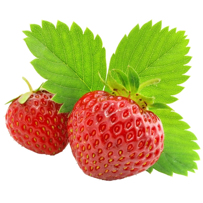 Strawberry Grow Kit w/ Wooden Planter Box