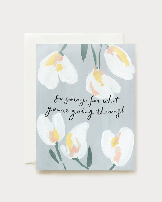 "So Sorry" Greeting Card