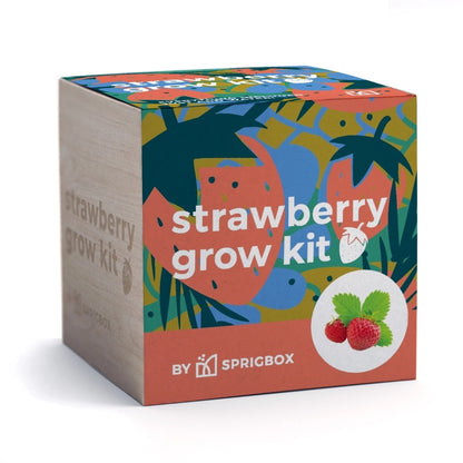 Strawberry Grow Kit w/ Wooden Planter Box