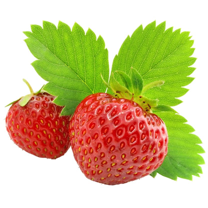Strawberry Grow Kit w/ Wooden Planter Box